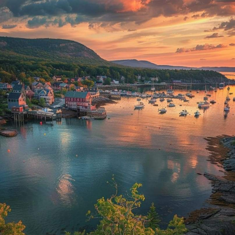 harbor with boats and sunset